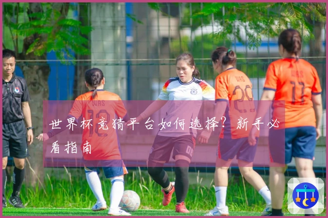 世界杯竞猜平台如何选择？新手必看指南