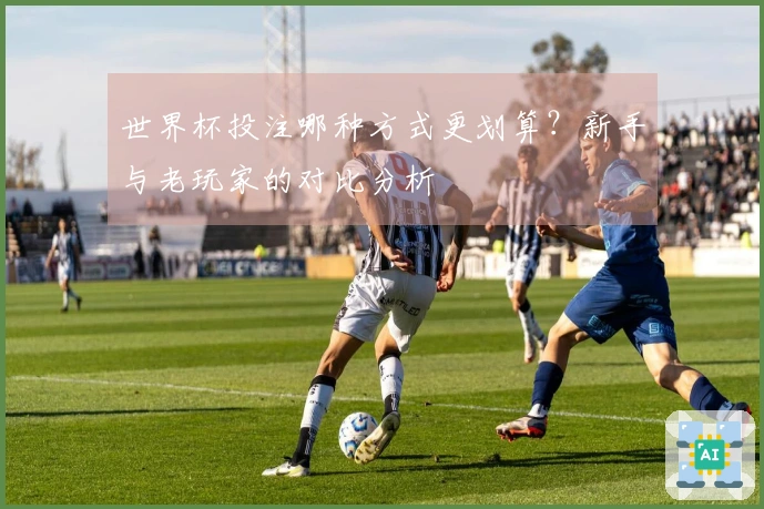 世界杯投注哪种方式更划算？新手与老玩家的对比分析
