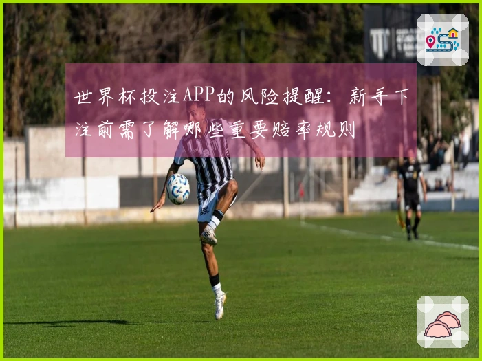 世界杯投注APP的风险提醒：新手下注前需了解哪些重要赔率规则