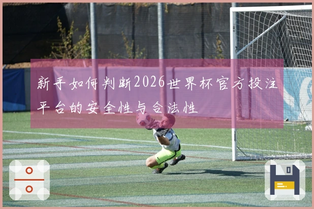 新手如何判断2026世界杯官方投注平台的安全性与合法性
