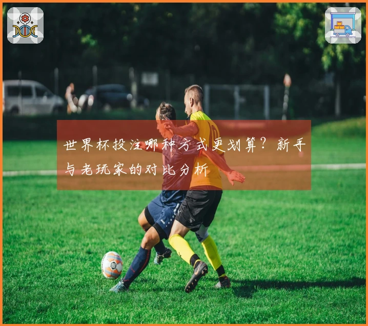 世界杯投注哪种方式更划算？新手与老玩家的对比分析