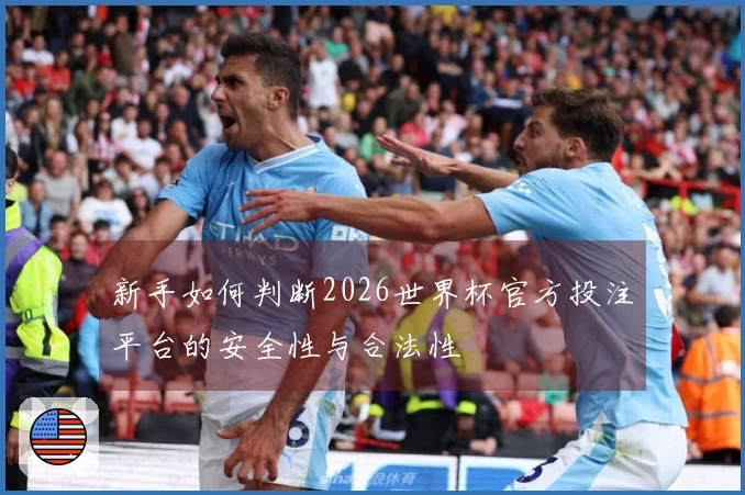 新手如何判断2026世界杯官方投注平台的安全性与合法性