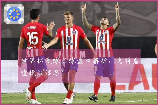 世界杯滚球买球盘口解析，怎样看懂投注信息？